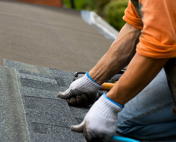Best Roofing Contractor Near Me  in Park City, KS