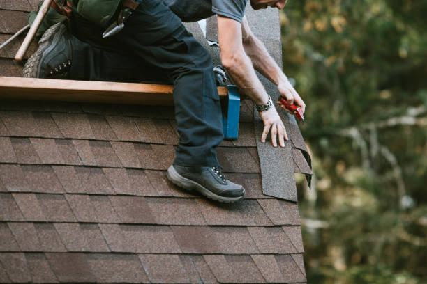 Best Metal Roofing Contractor  in Park City, KS